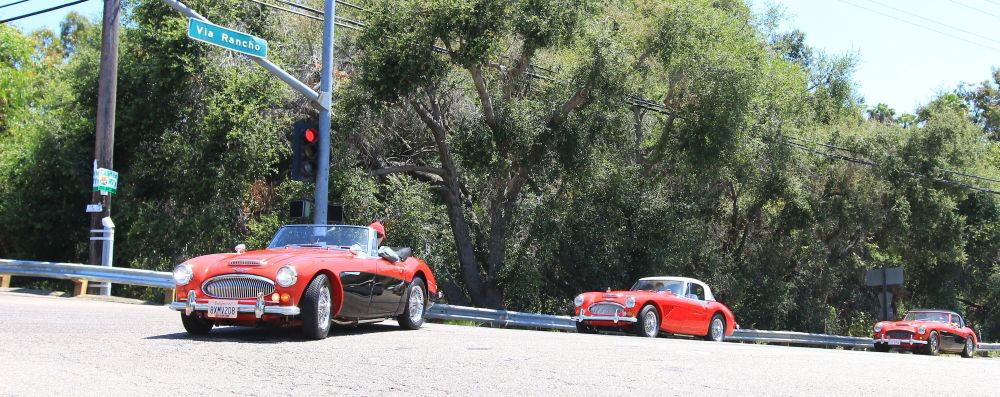 austin-healy-car-club-san-diegeito-park-gathering